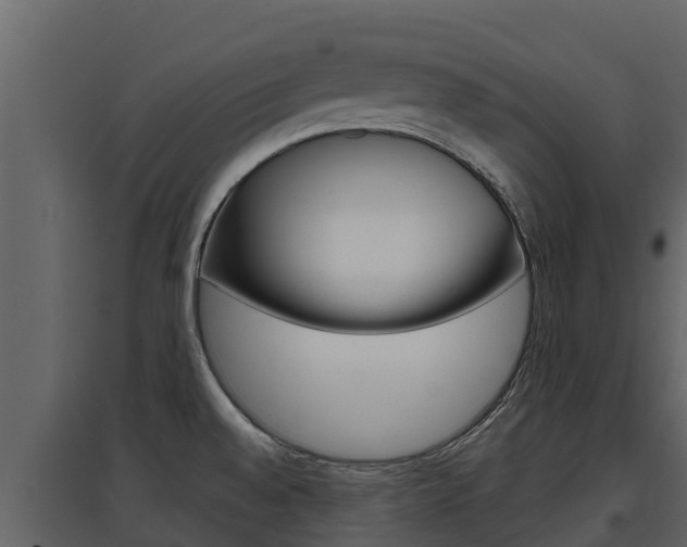 X0000097851528200803140845