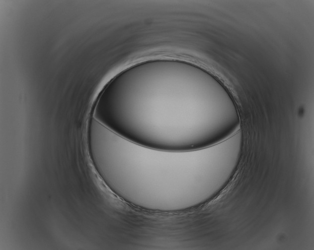 X0000097851530200803140845