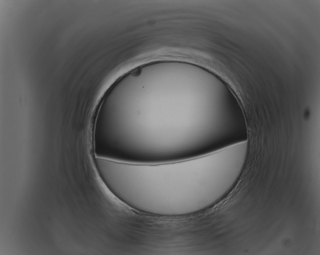 X0000097851531200803140845