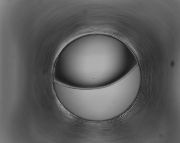 X0000097851532200803140845