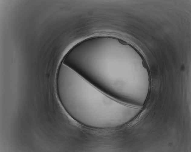 X0000097851533200803140845