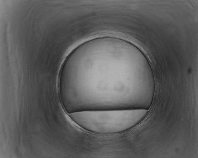 X0000097851535200803140845