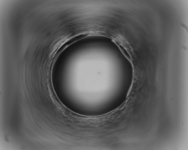 X0000097850001200803141227