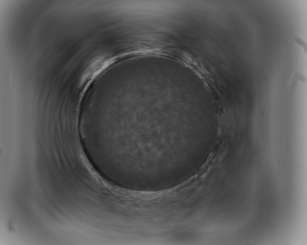 X0000097850002200803141227