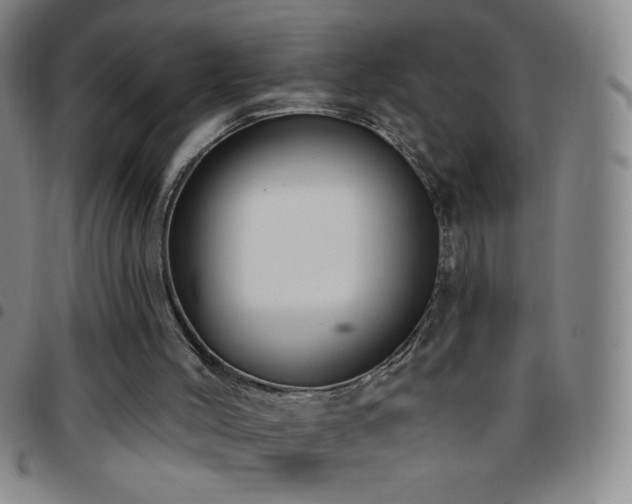 X0000097850004200803141227