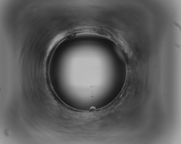 X0000097850006200803141227