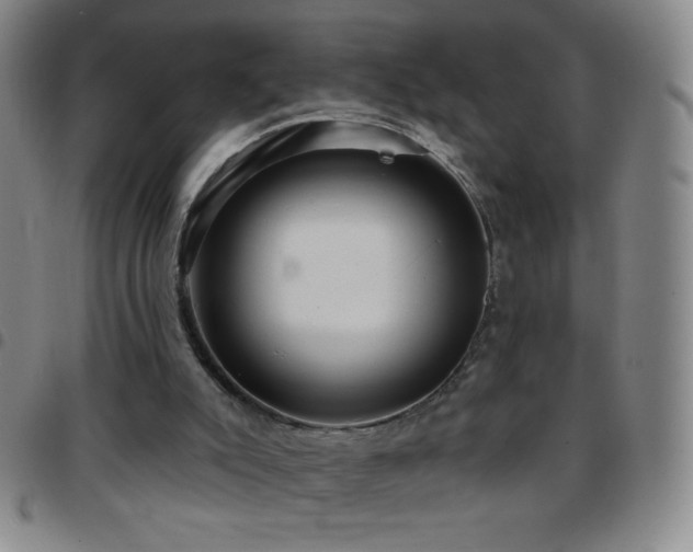 X0000097850007200803141227