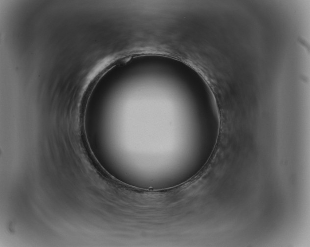 X0000097850008200803141227