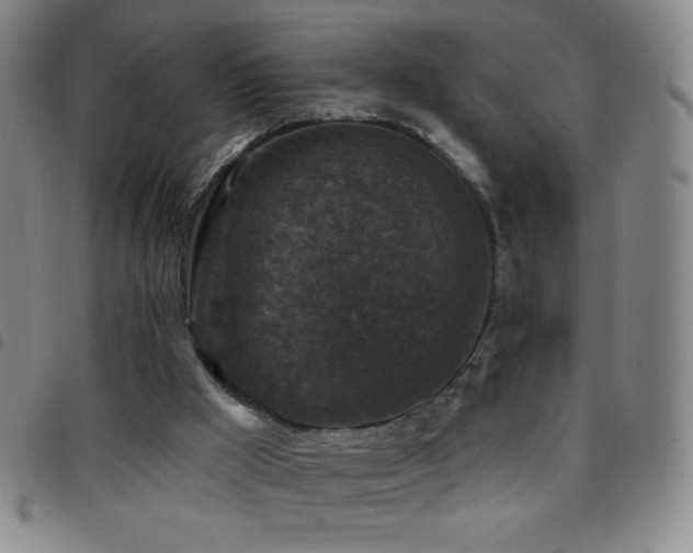 X0000097850009200803141227