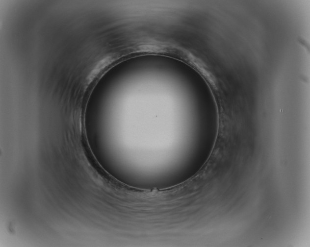 X0000097850011200803141227