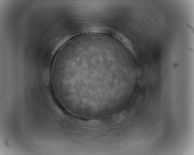 X0000097850012200803141227