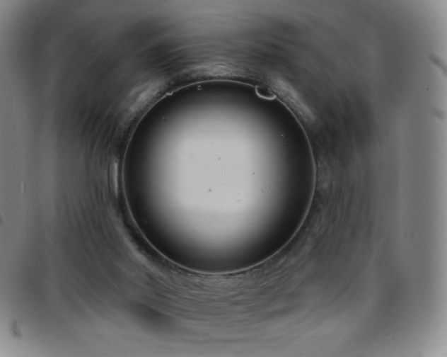 X0000097850014200803141227