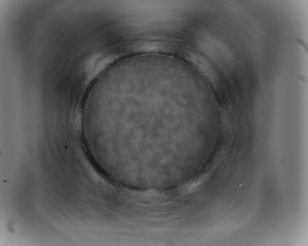 X0000097850016200803141227