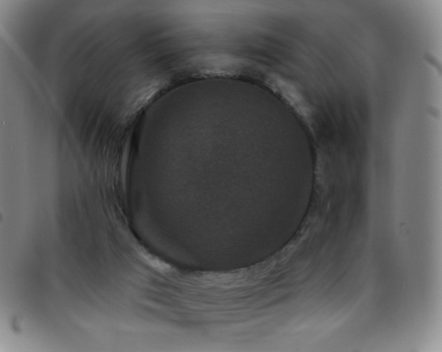 X0000097850017200803141227