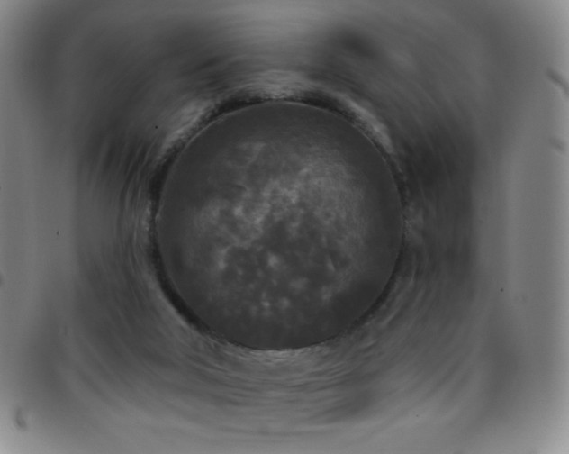 X0000097850018200803141227