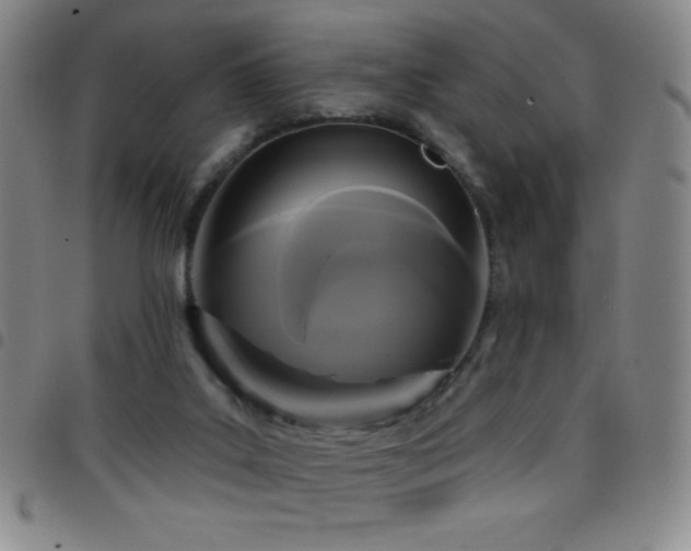X0000097850019200803141227