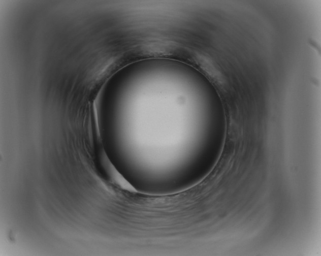 X0000097850021200803141227