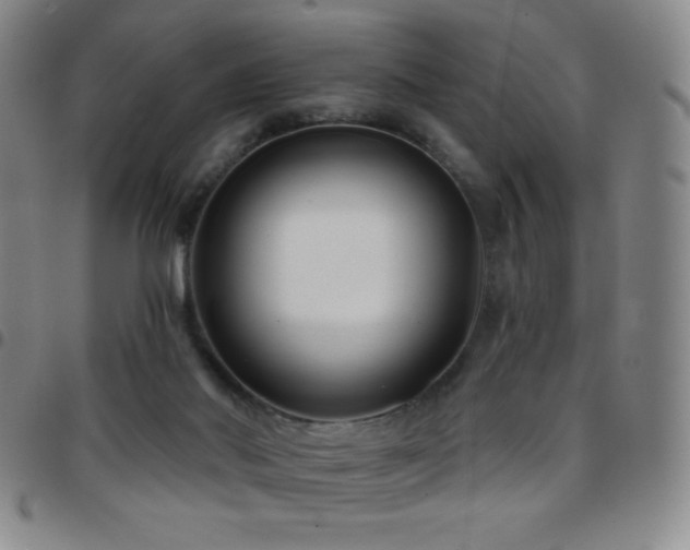 X0000097850022200803141227