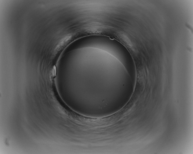X0000097850023200803141227