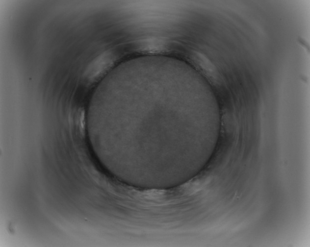 X0000097850024200803141227