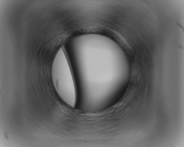 X0000097850025200803141227
