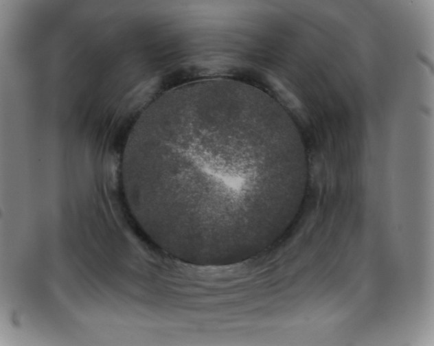 X0000097850026200803141227