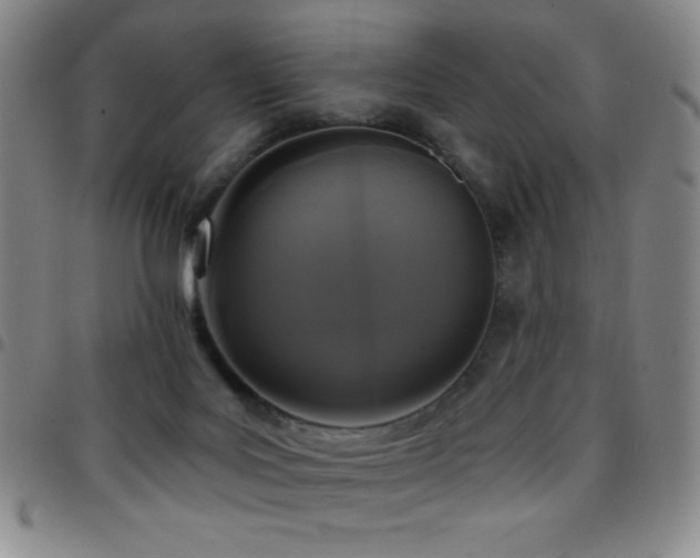 X0000097850027200803141227