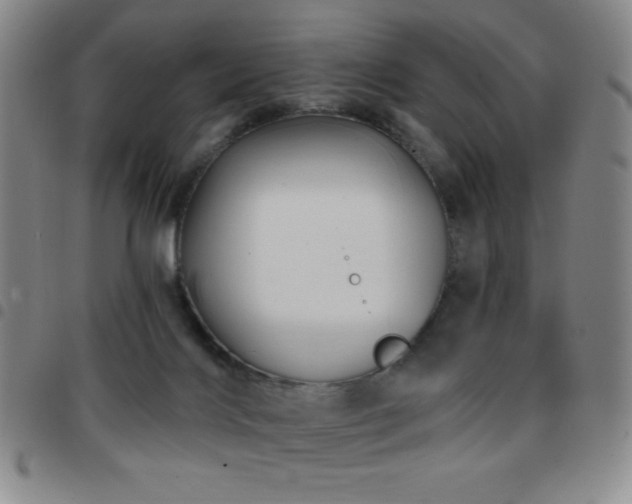 X0000097850028200803141227