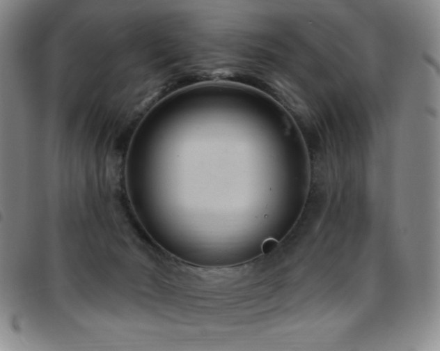 X0000097850030200803141226