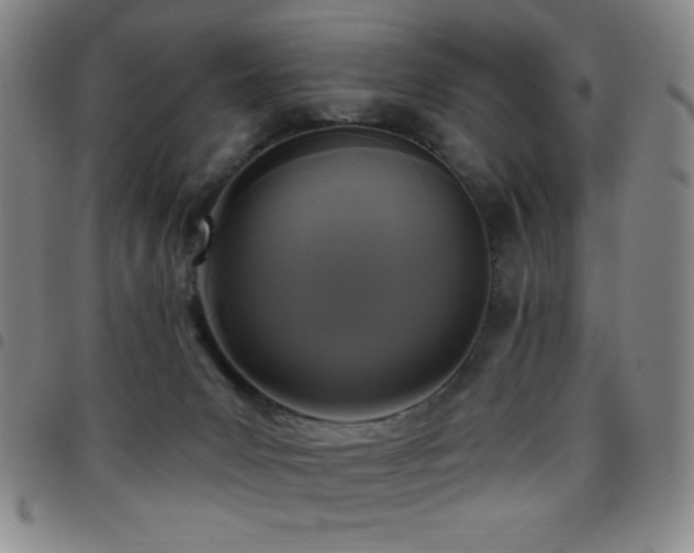 X0000097850031200803141226