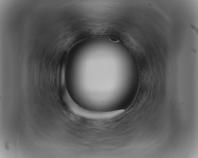 X0000097850033200803141226