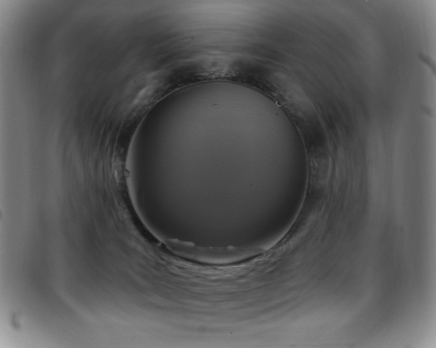X0000097850035200803141226