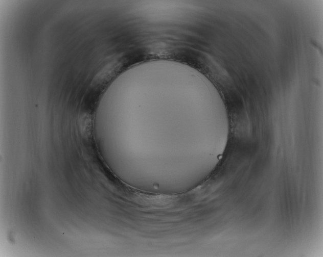 X0000097850036200803141226