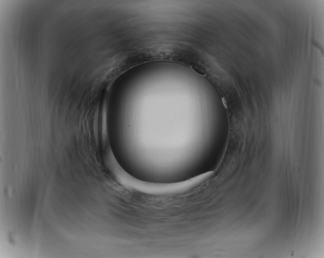 X0000097850037200803141226