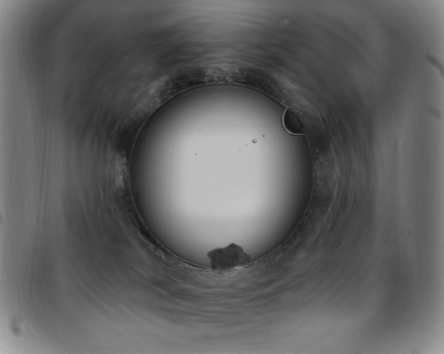 X0000097850038200803141226