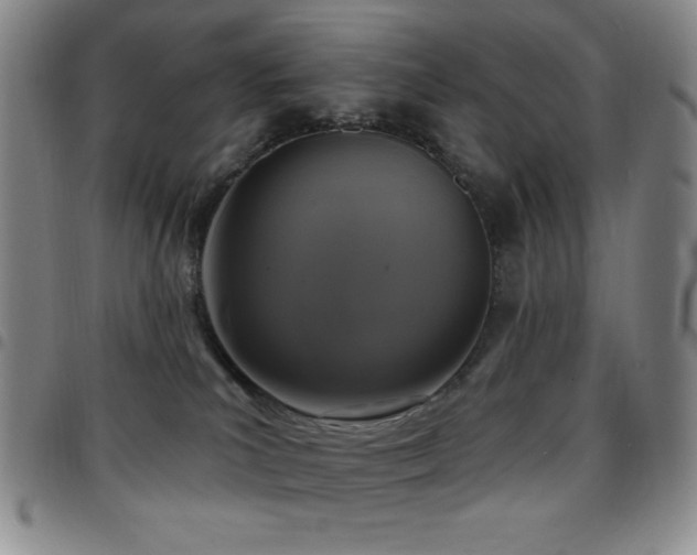 X0000097850039200803141226