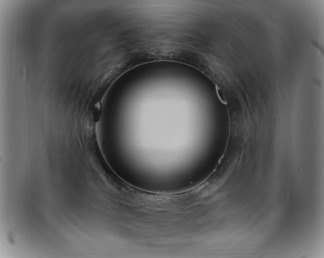 X0000097850040200803141226