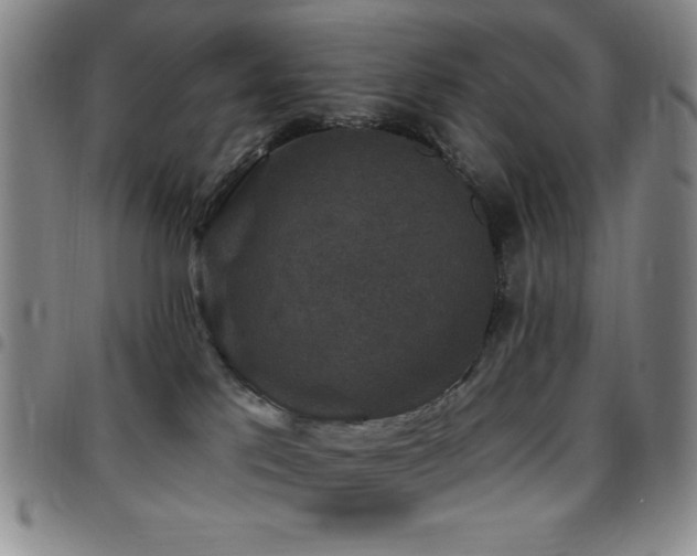 X0000097850041200803141226