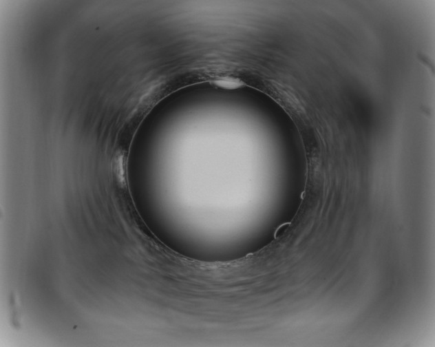 X0000097850042200803141226