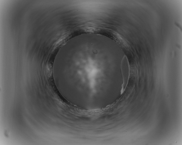 X0000097850043200803141226