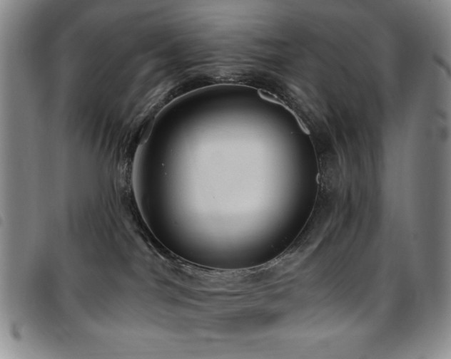 X0000097850044200803141226