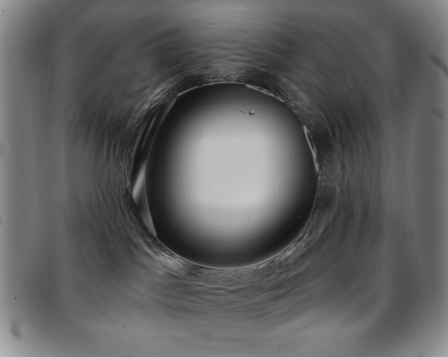 X0000097850045200803141226