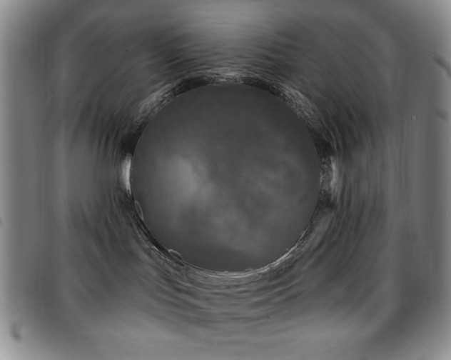 X0000097850047200803141226
