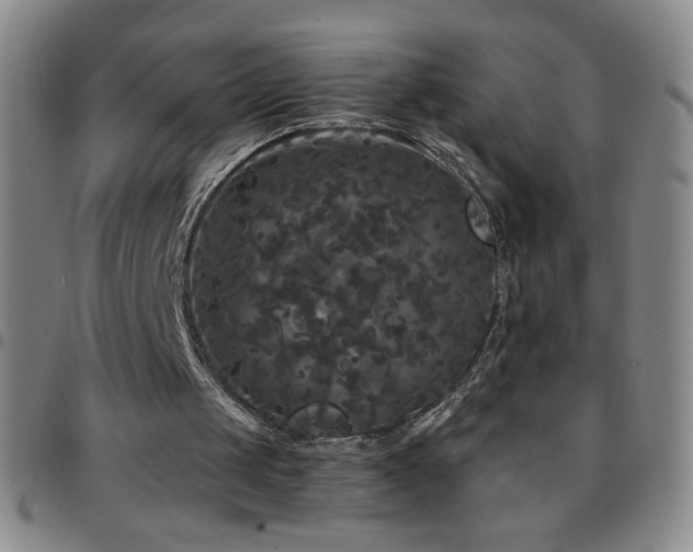 X0000097850049200803141226