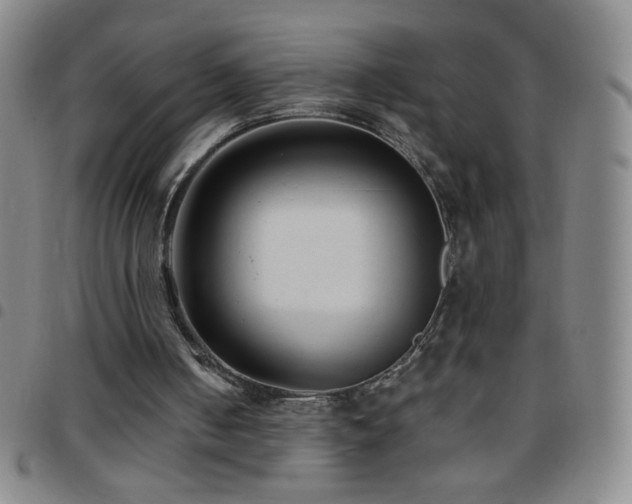 X0000097850050200803141226