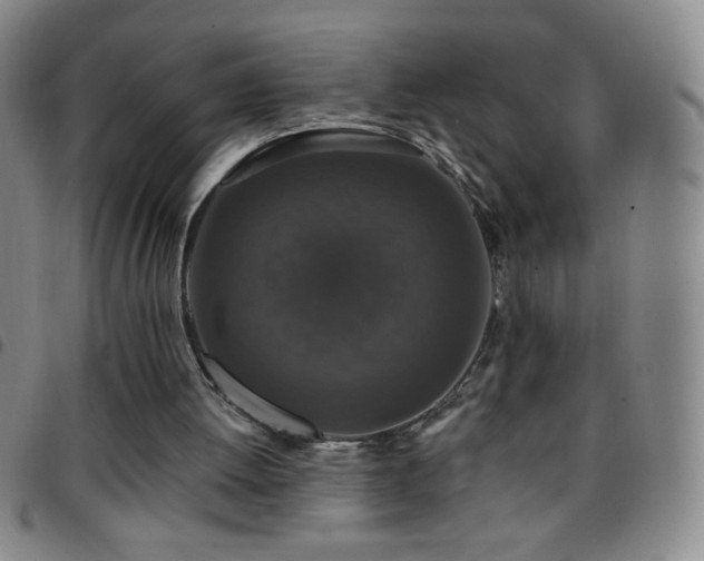 X0000097850052200803141226