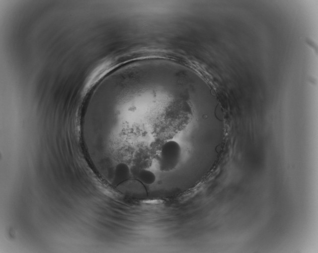 X0000097850053200803141226