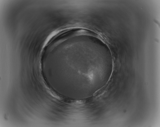 X0000097850056200803141226