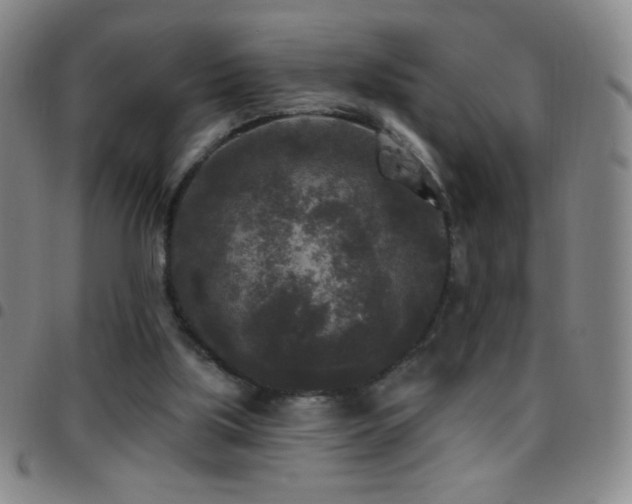 X0000097850059200803141226