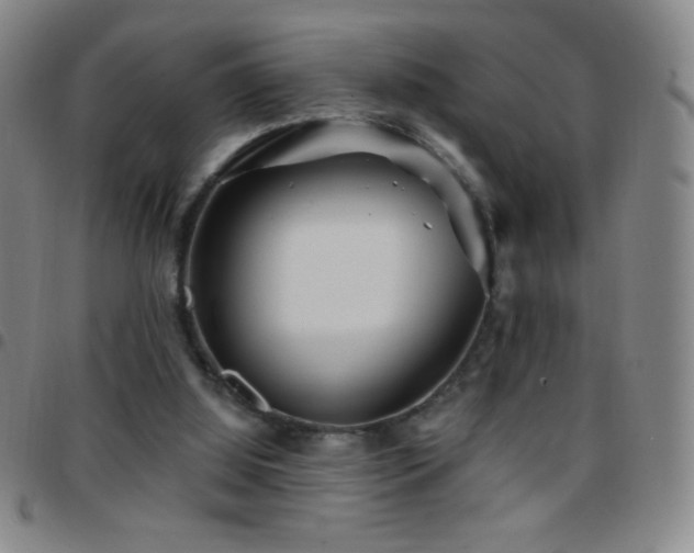 X0000097850060200803141226